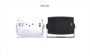 Loa cột treo tường FS-X5